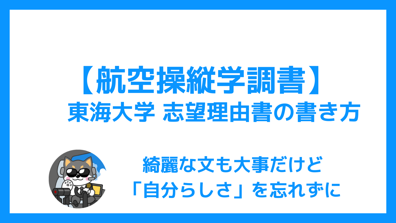 東海大学 航空操縦学調書【志望理由書】